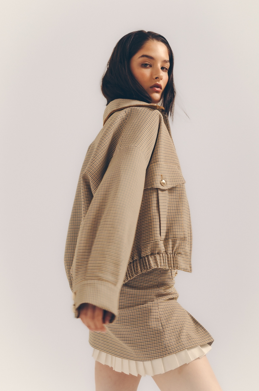 Model Image