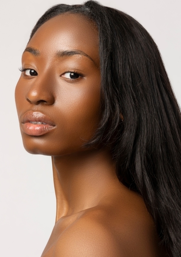 Model Image