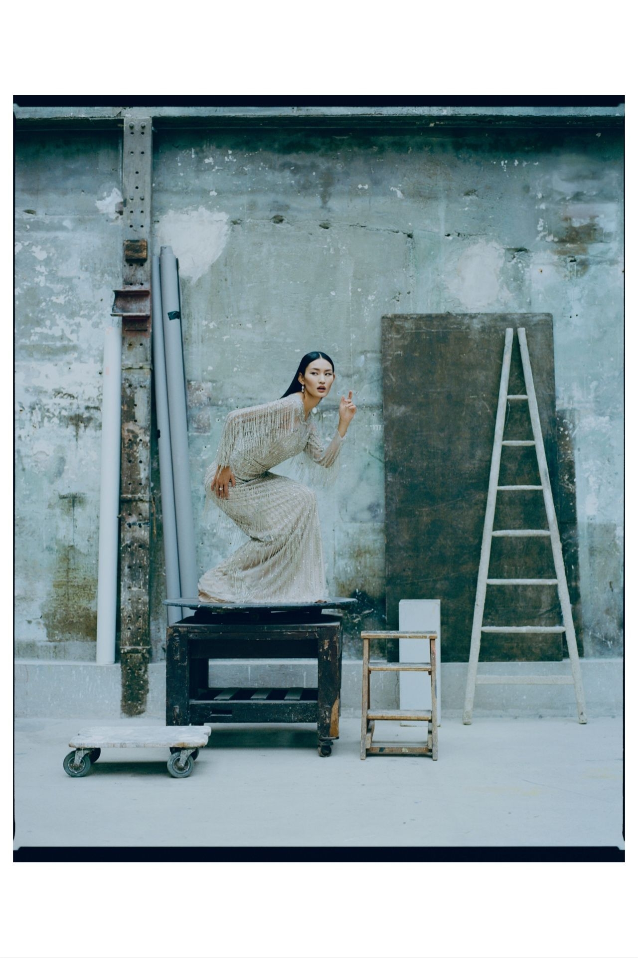 Model Image