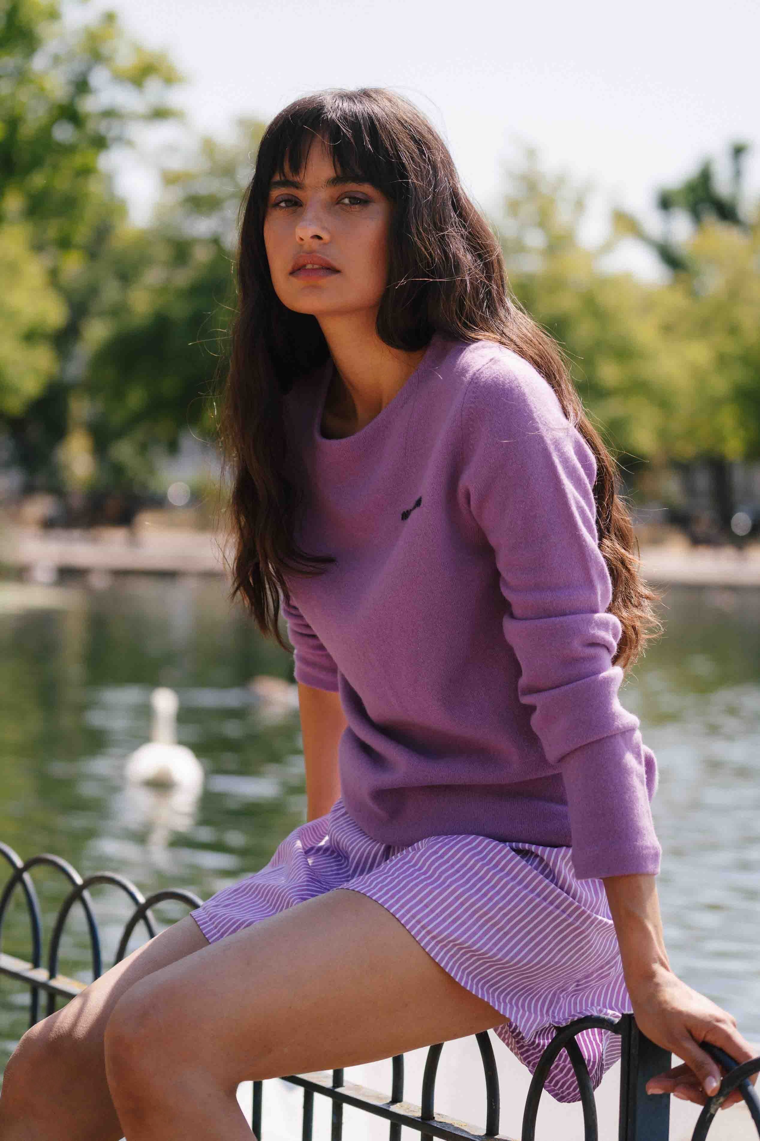 Model Image