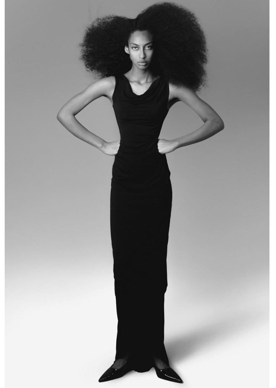 Model Image