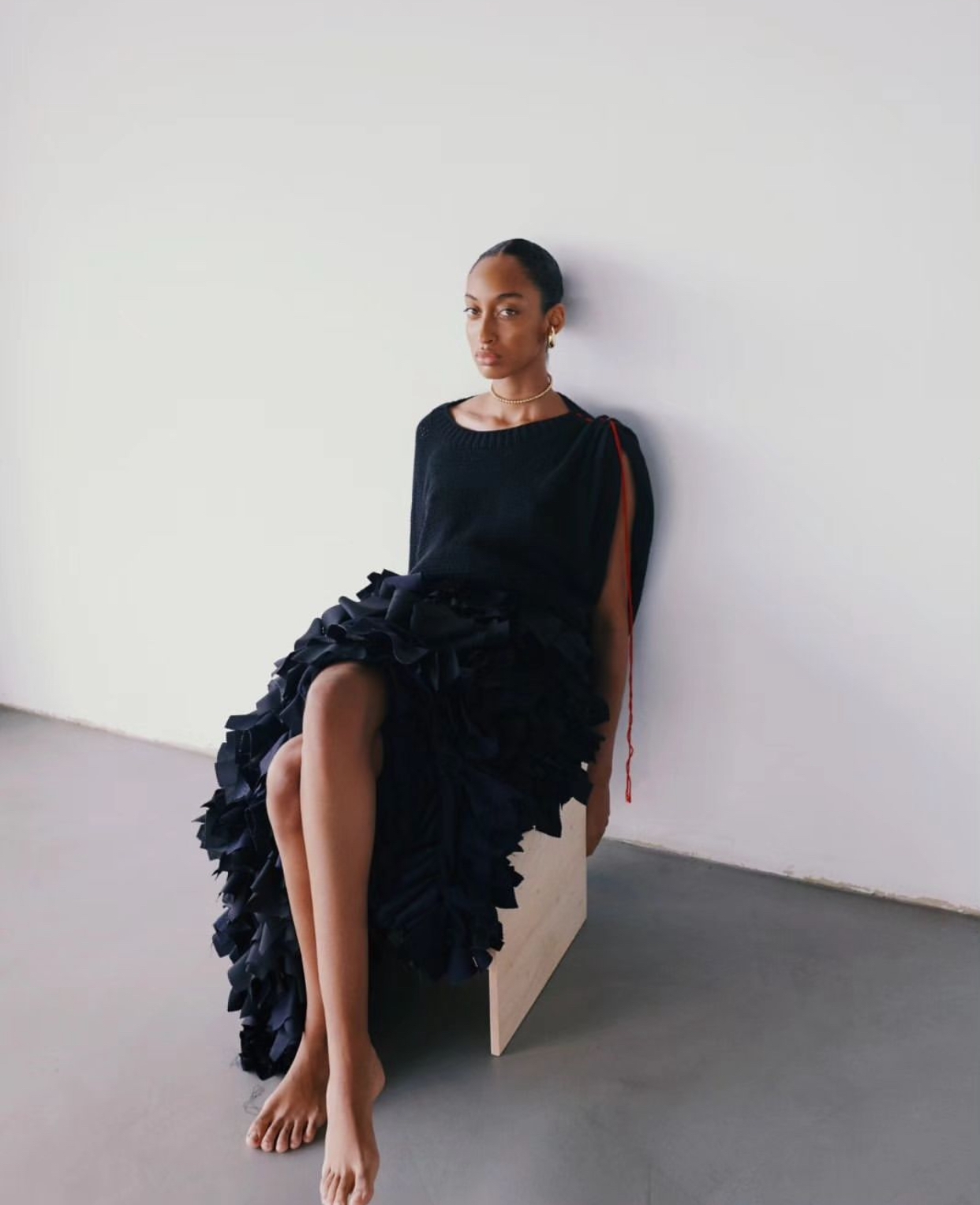Model Image