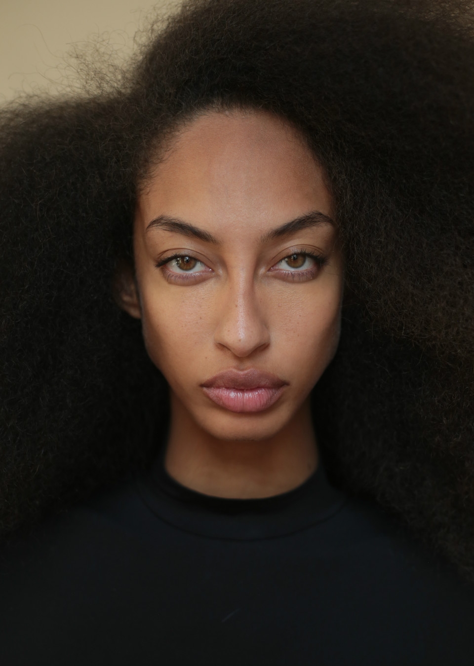 Model Image