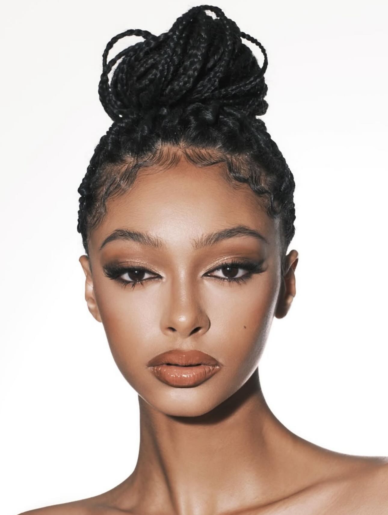 Model Image