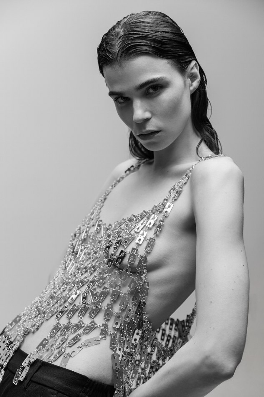 Model Image