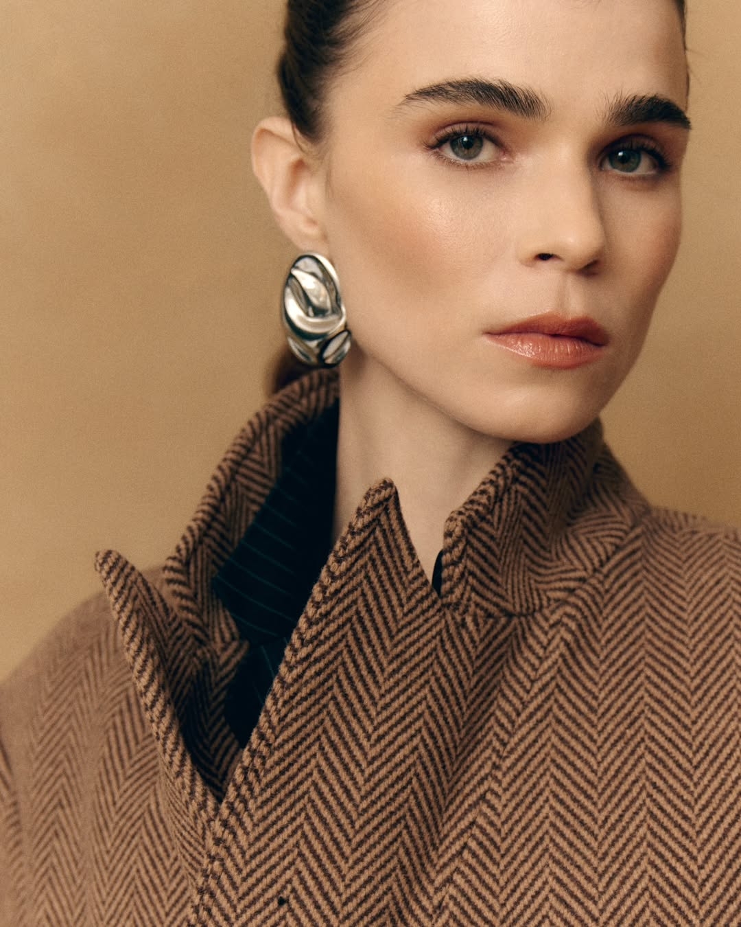 Model Image