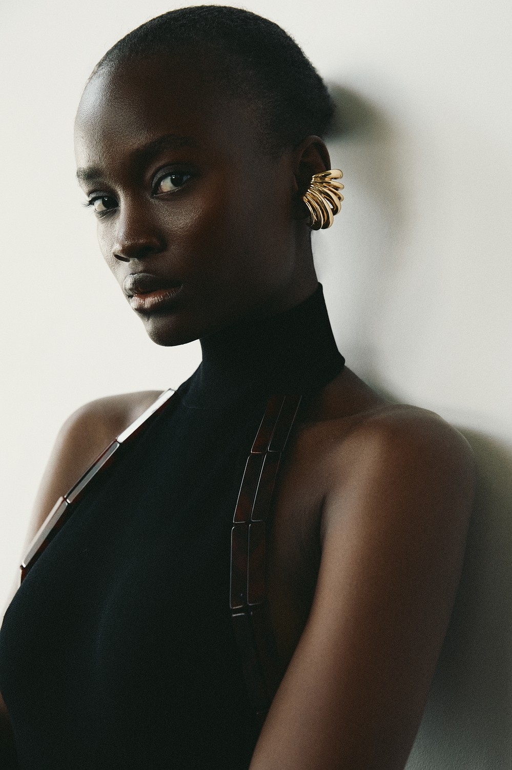 Model Image