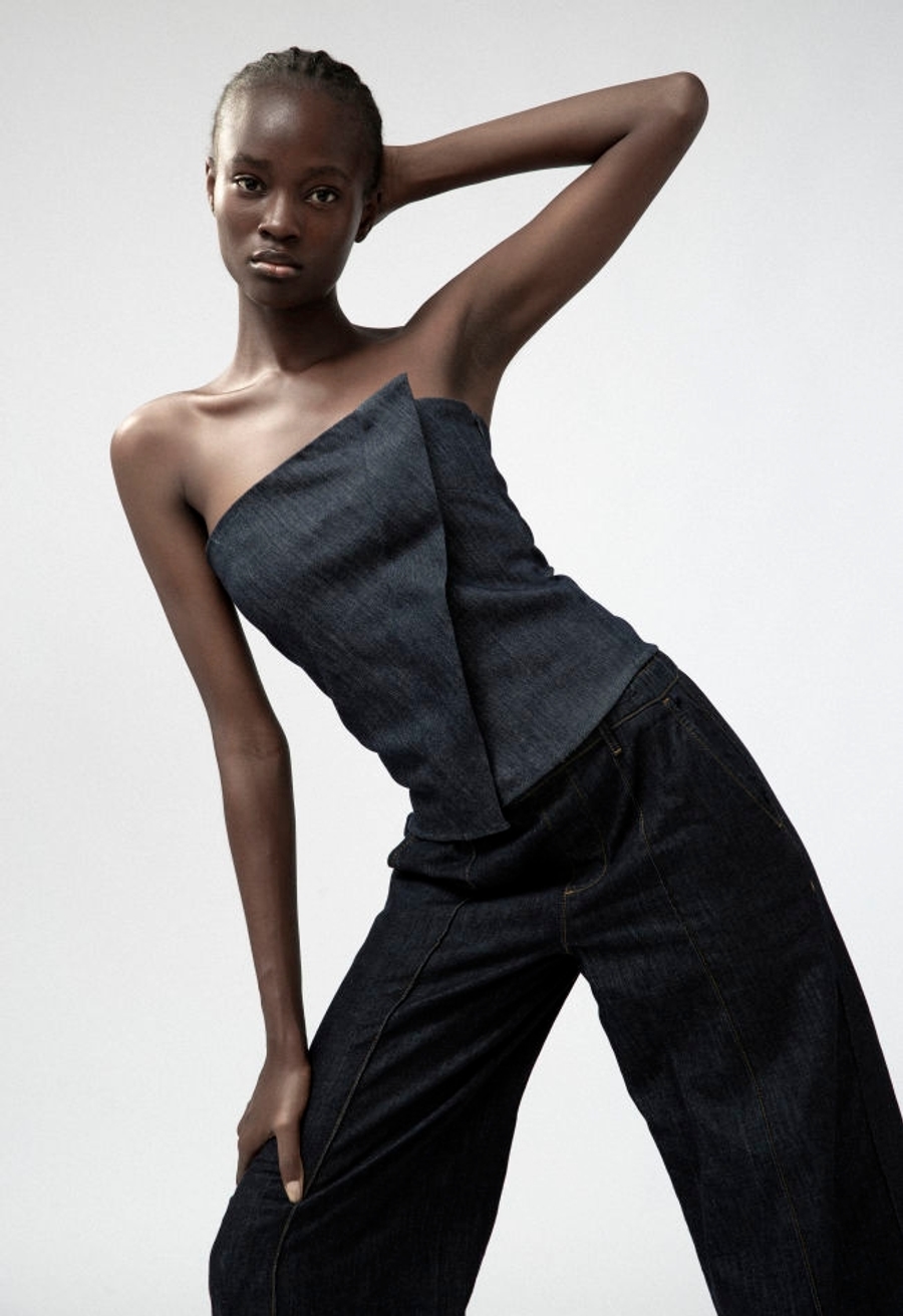 Model Image