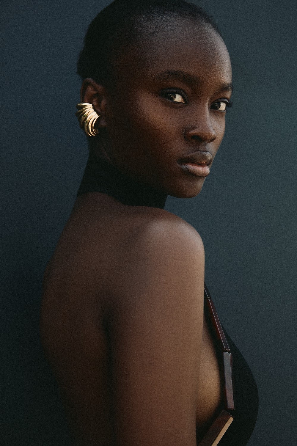 Model Image