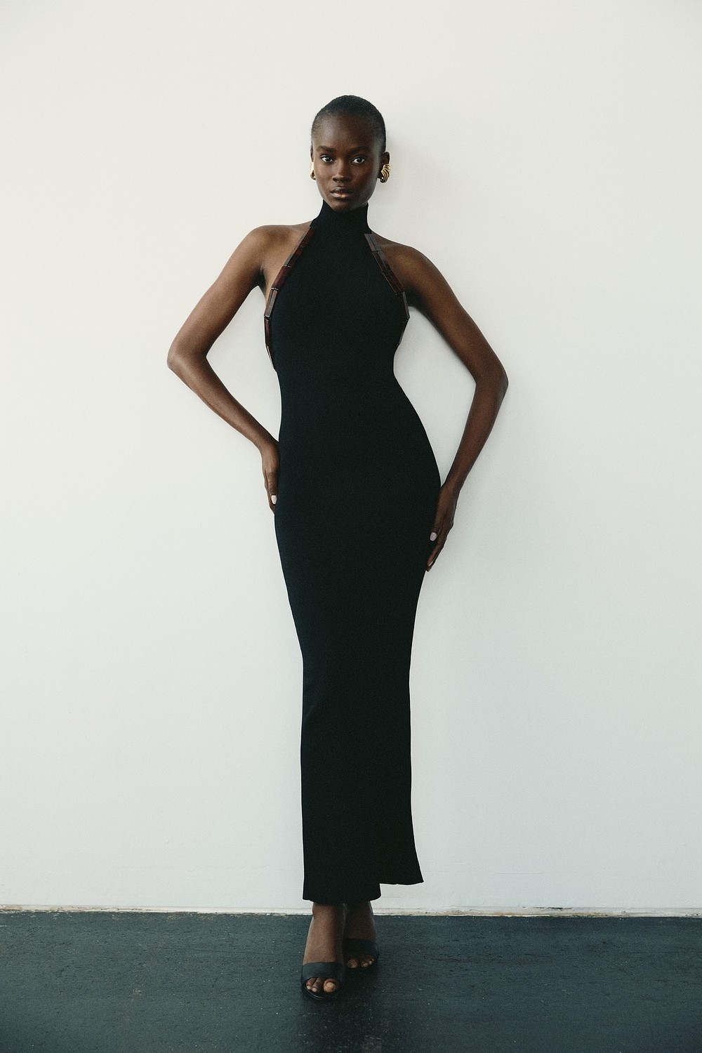 Model Image
