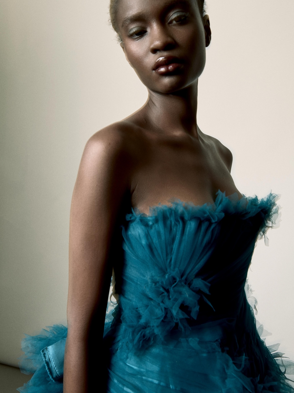 Model Image