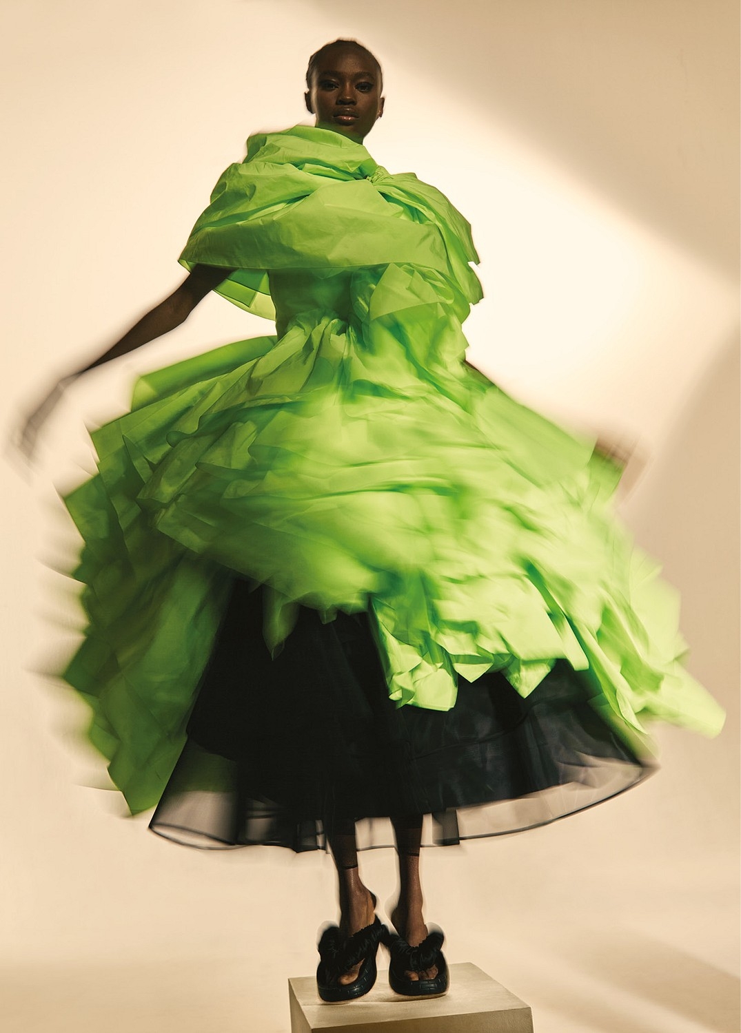 Model Image