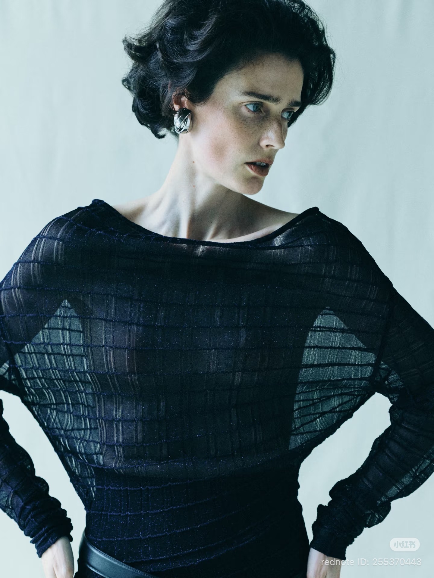 Model Image