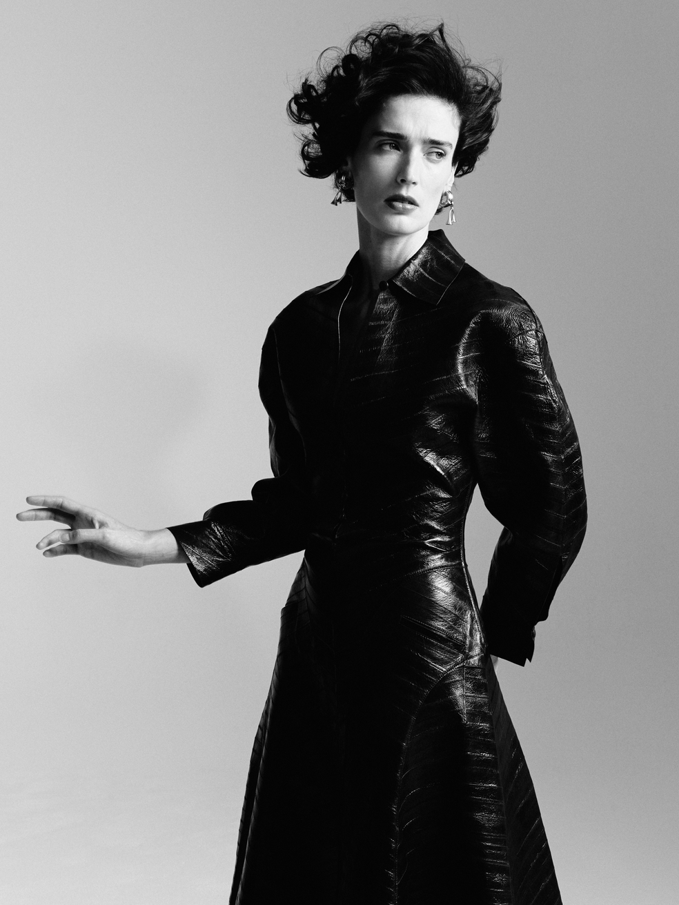 Model Image