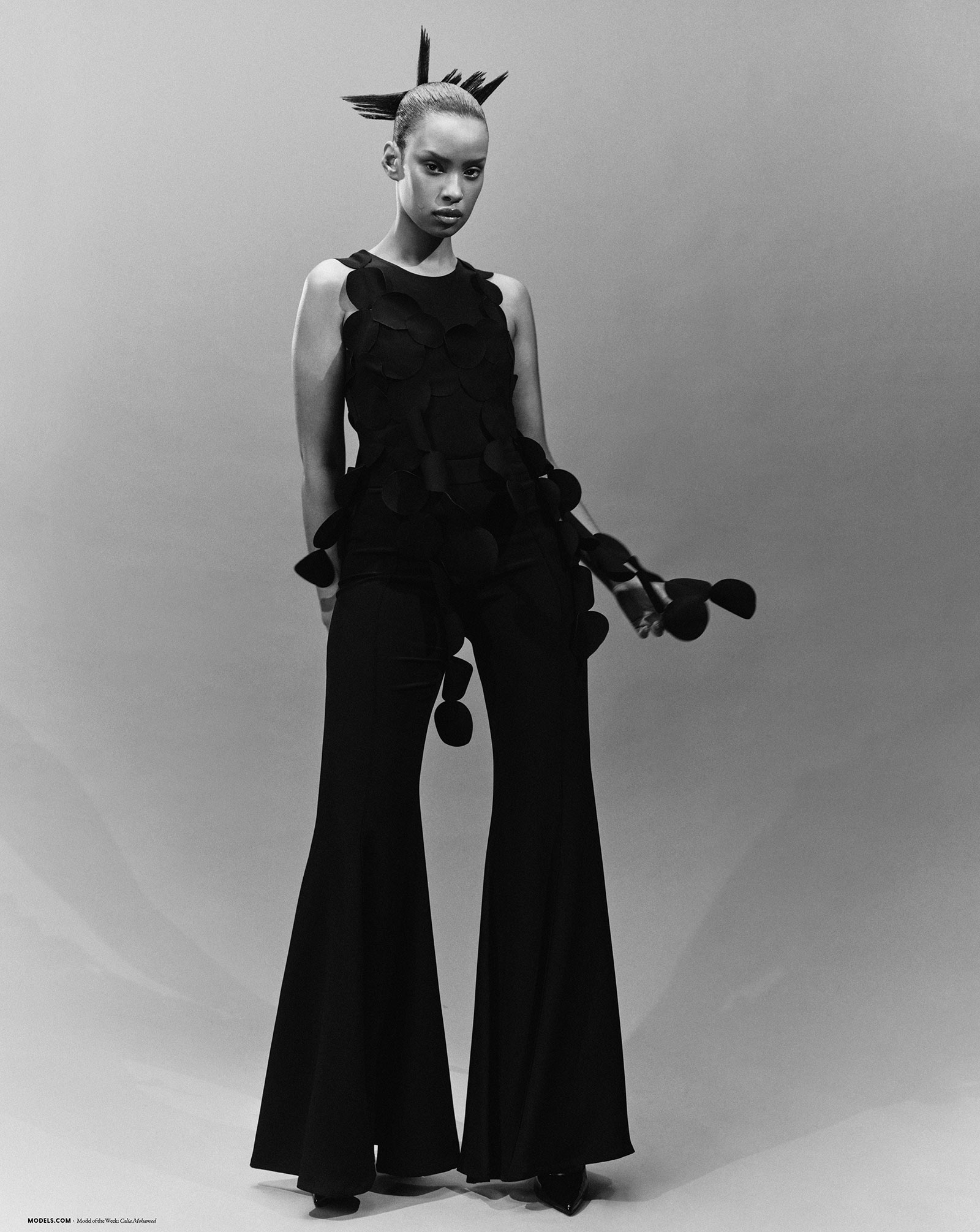 Model Image