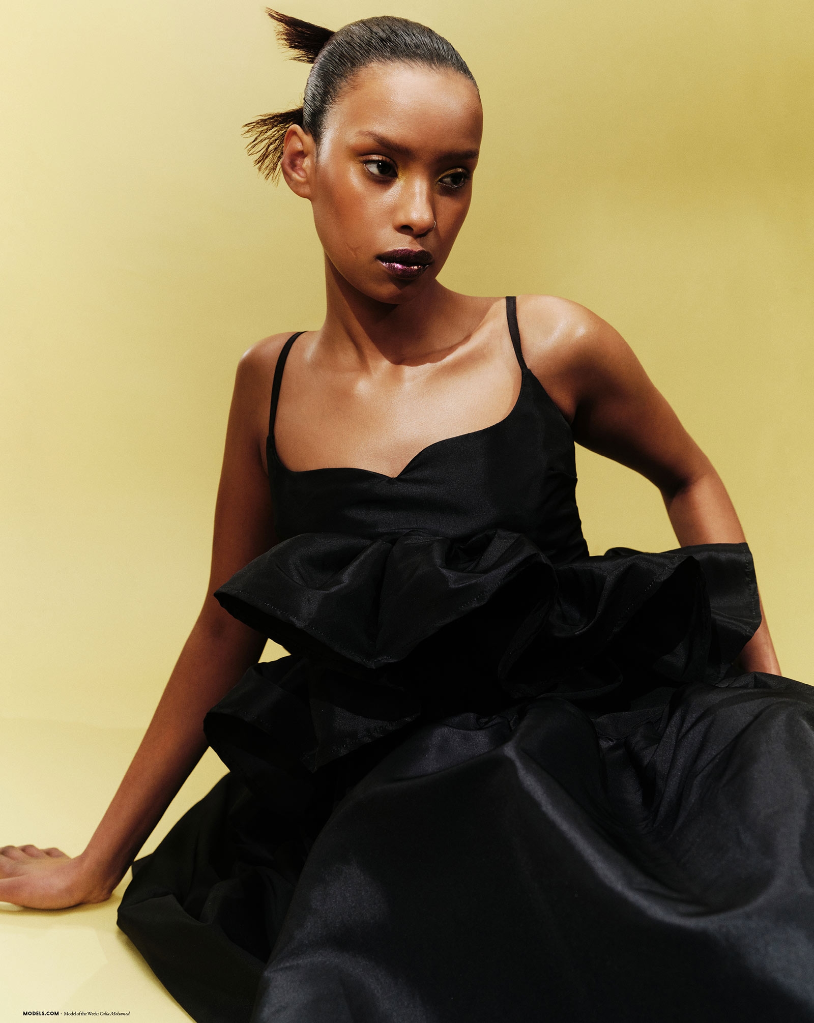 Model Image