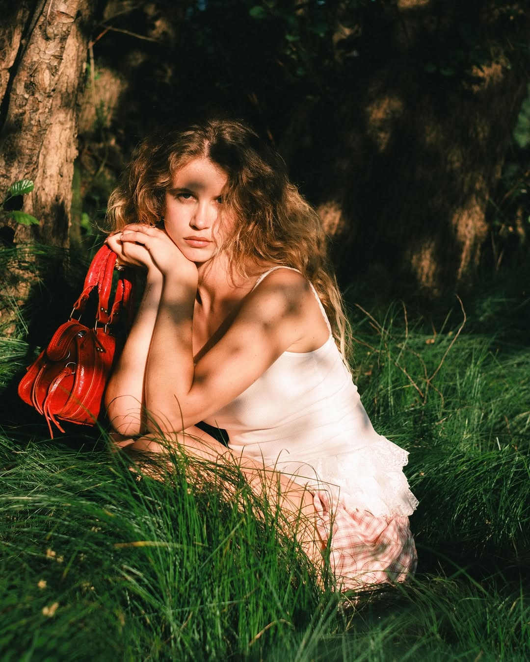Model Image