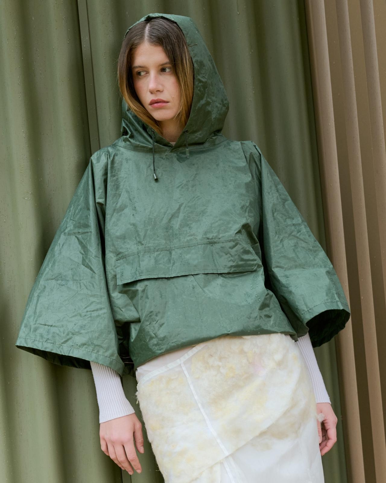 Model Image