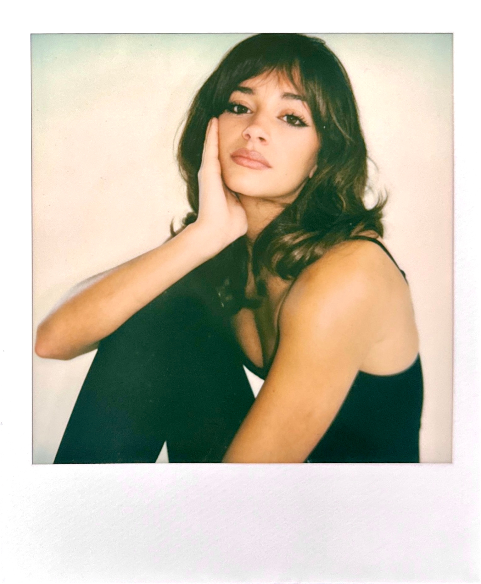 Model Image