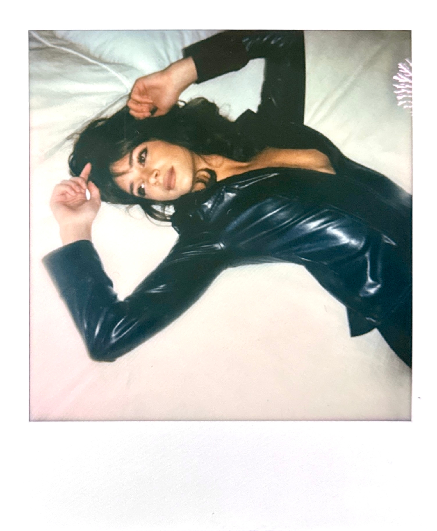 Model Image