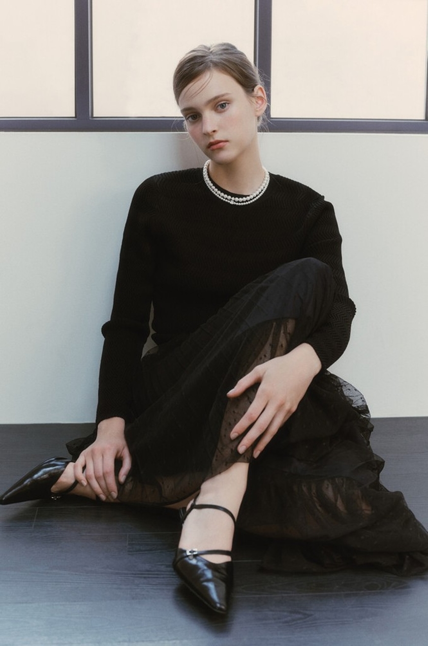 Model Image