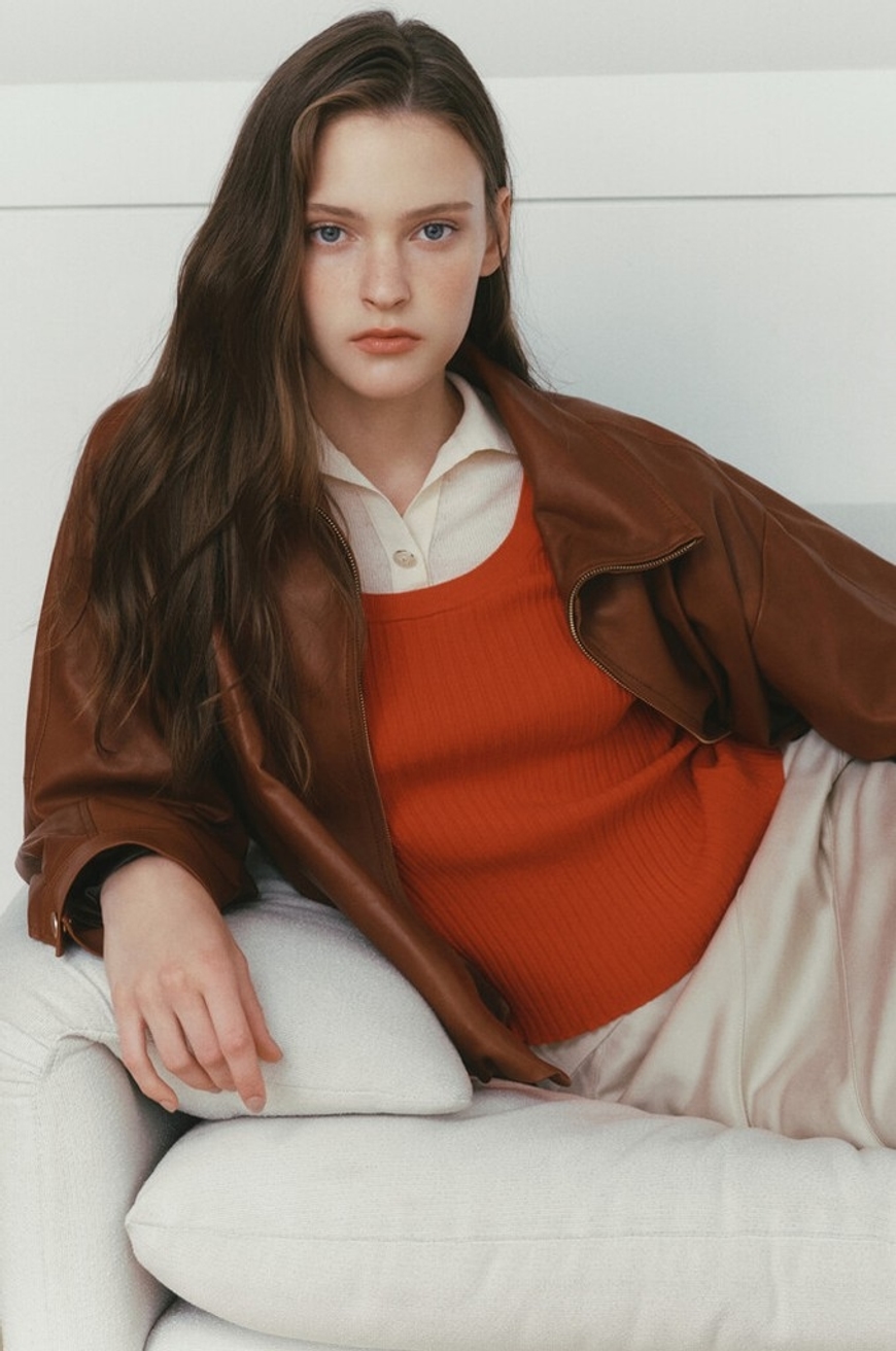 Model Image