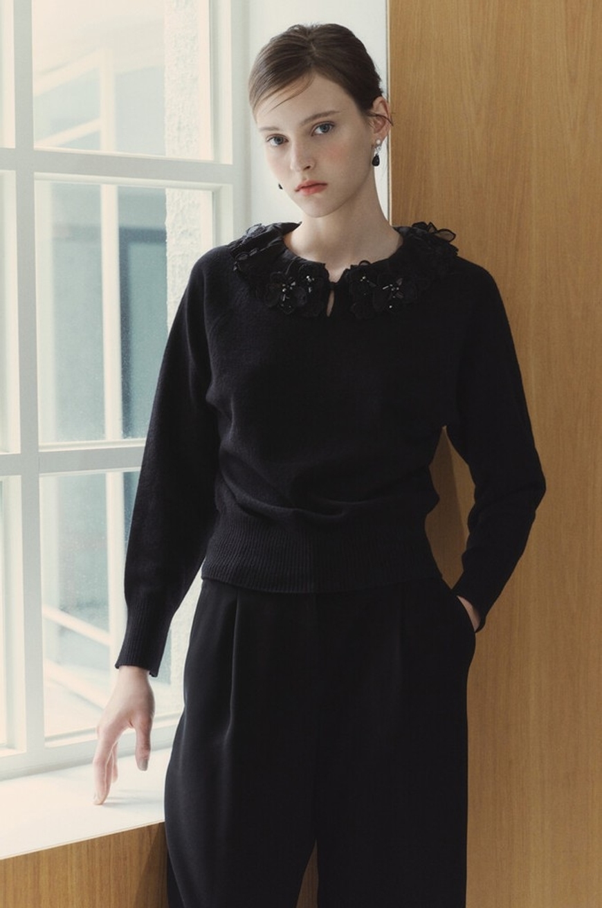 Model Image