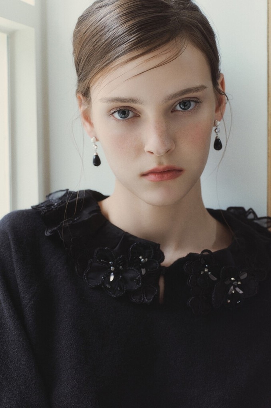 Model Image