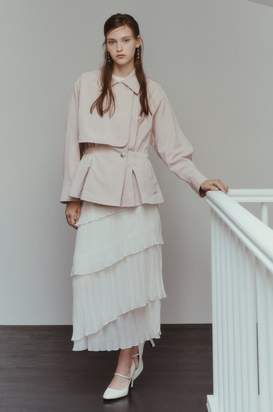 Model Image