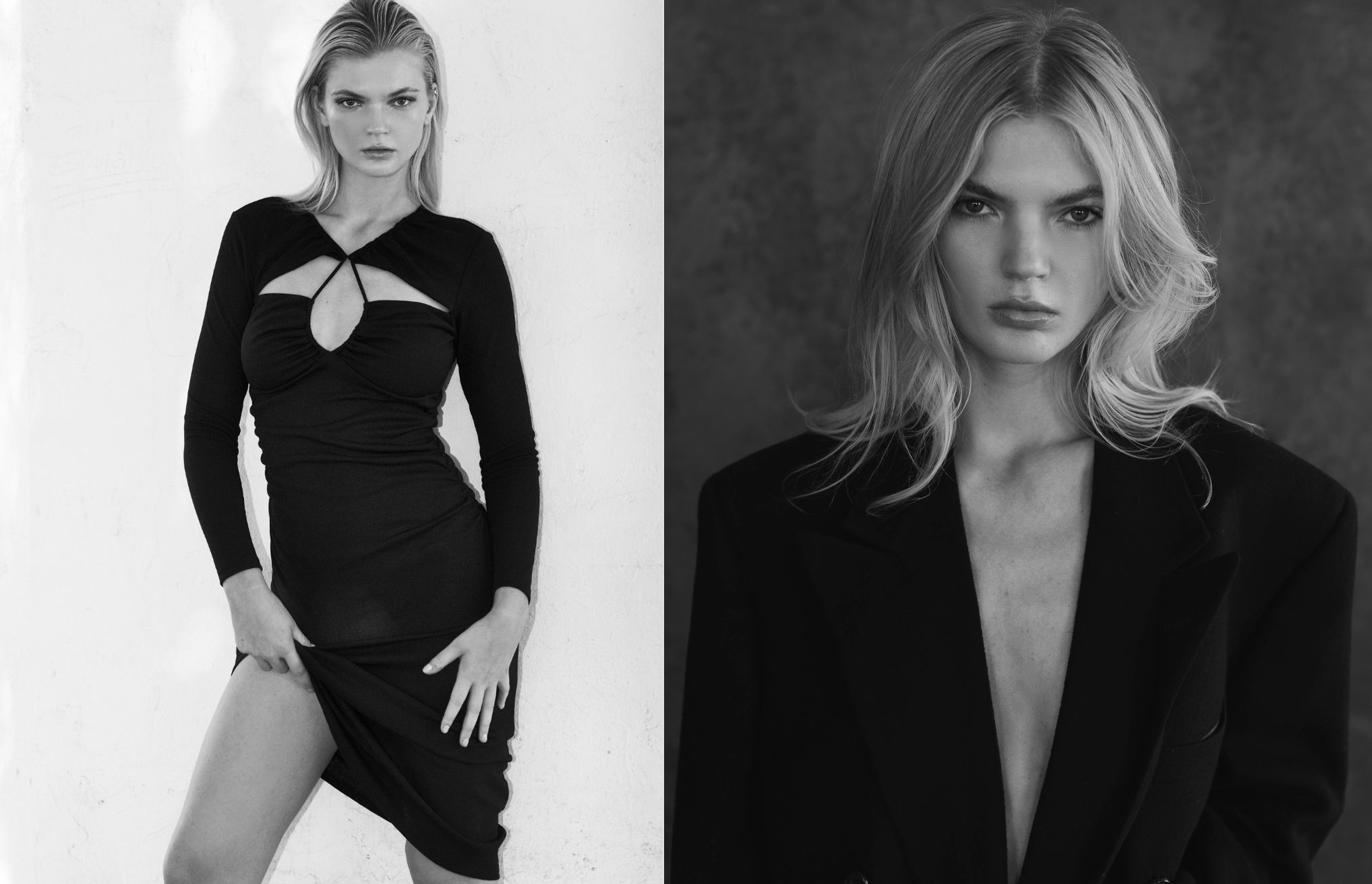 Model Image