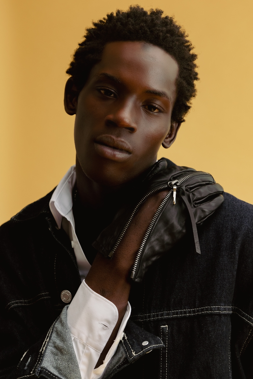 Model Image