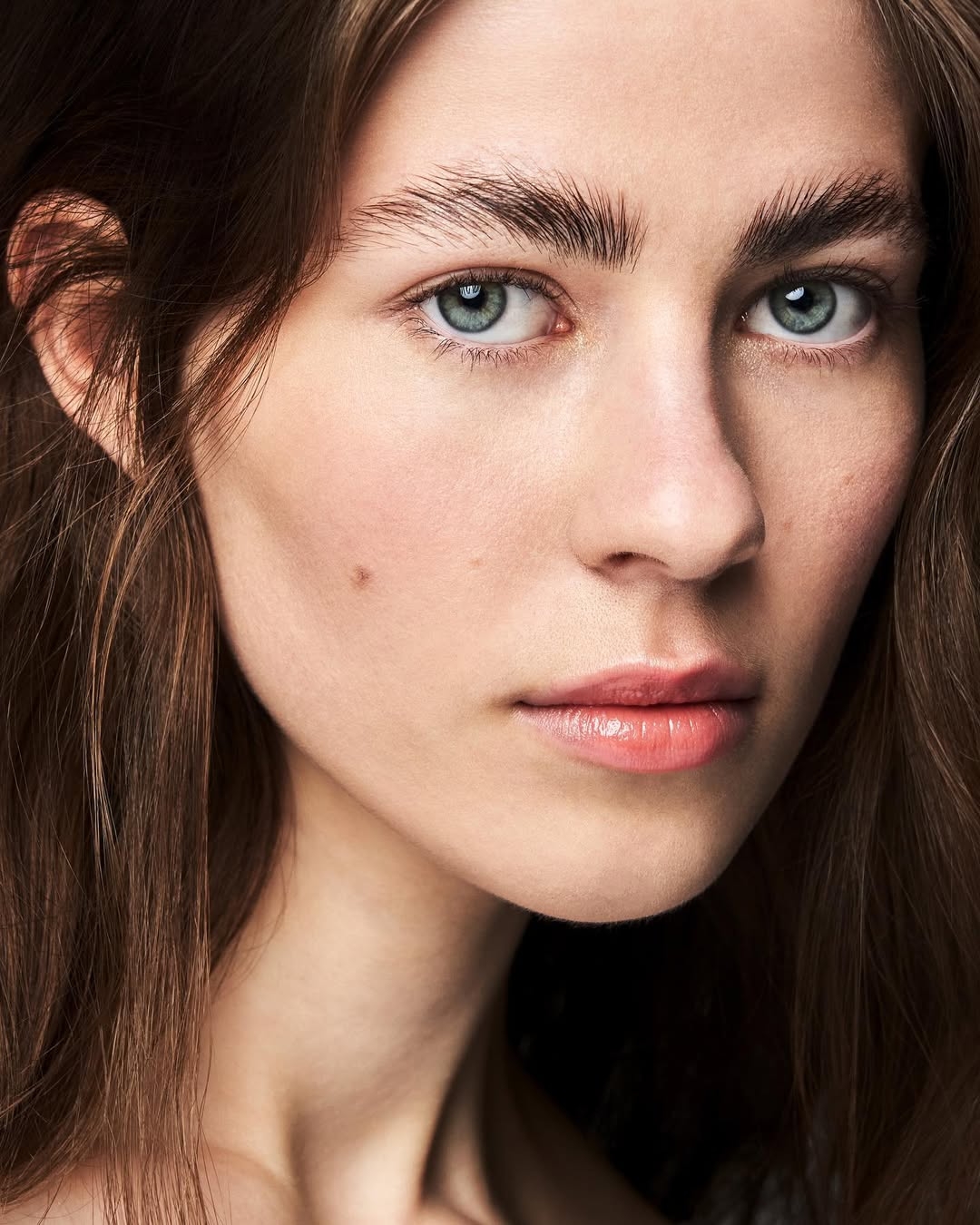 Model Image