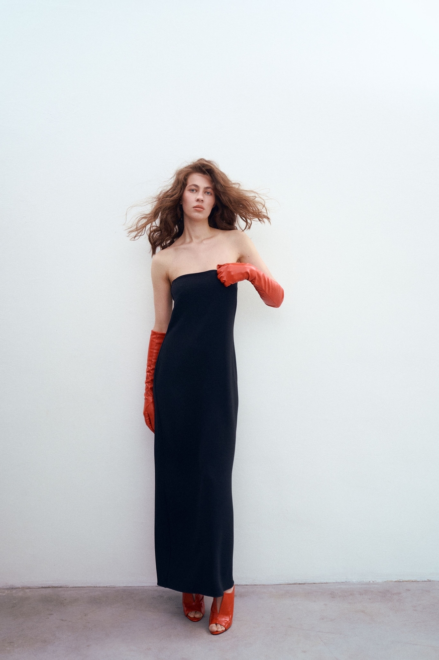 Model Image