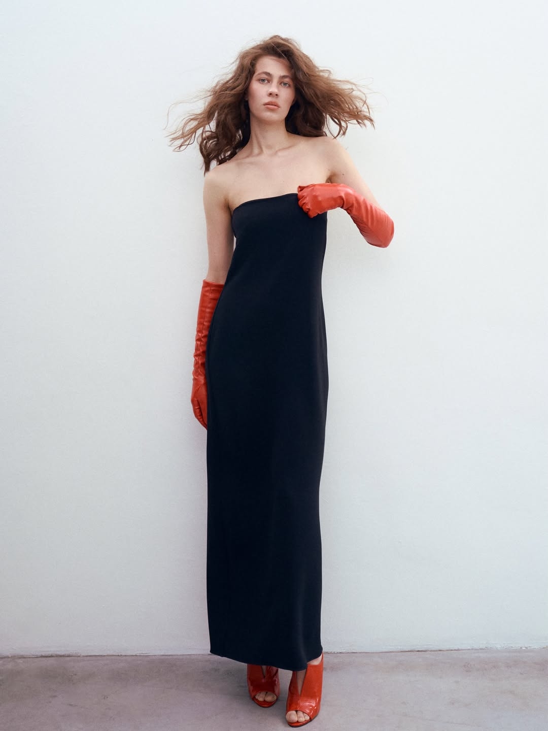 Model Image