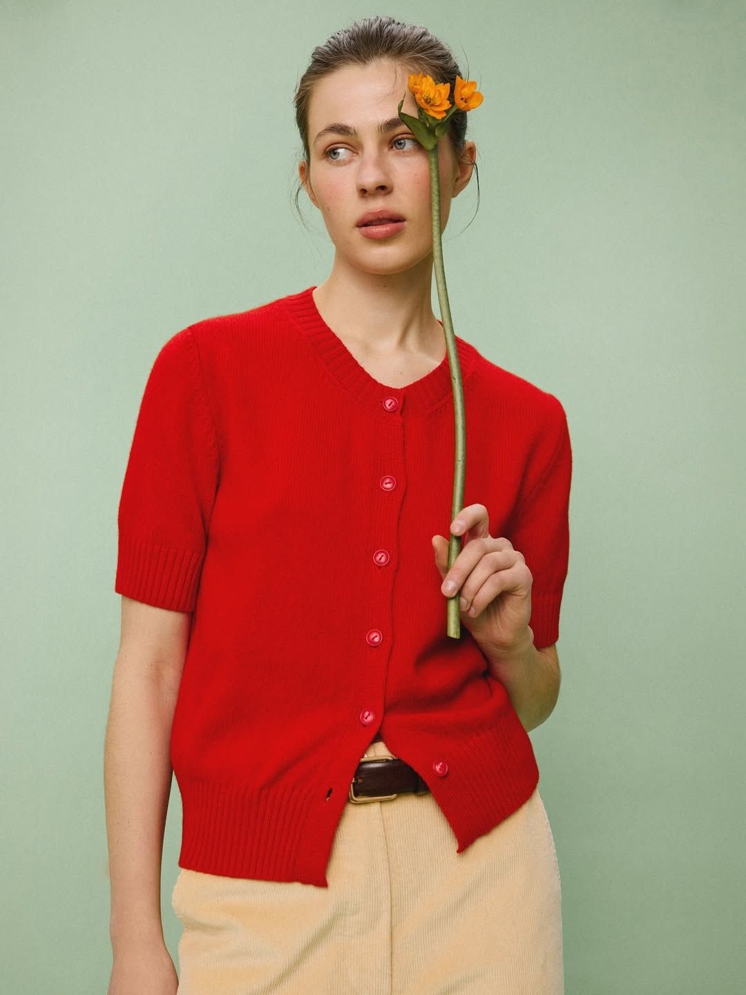 Model Image