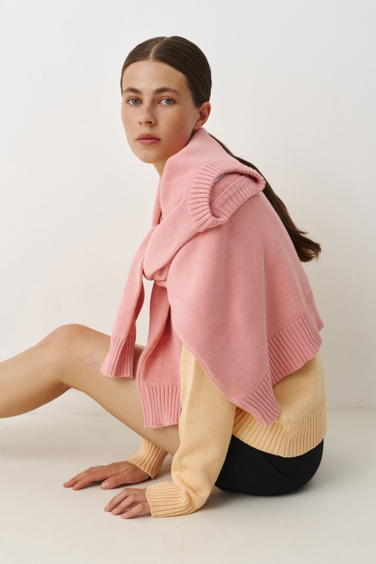Model Image