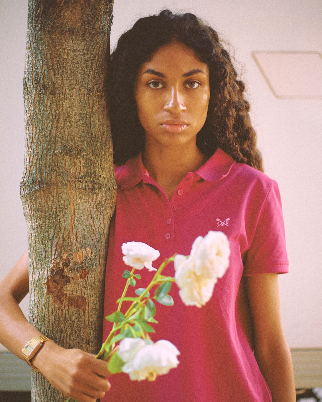 Model Image