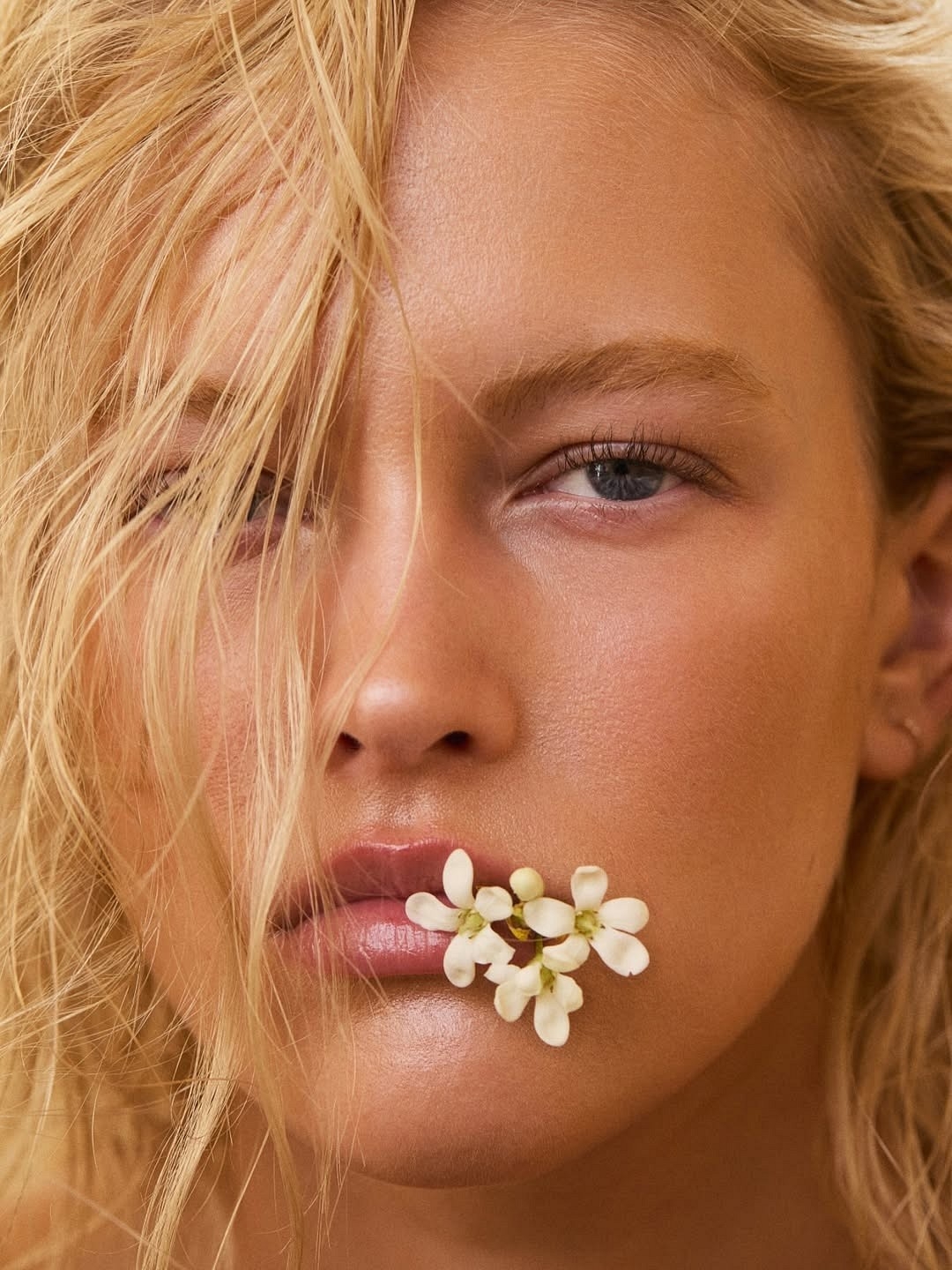 Model Image