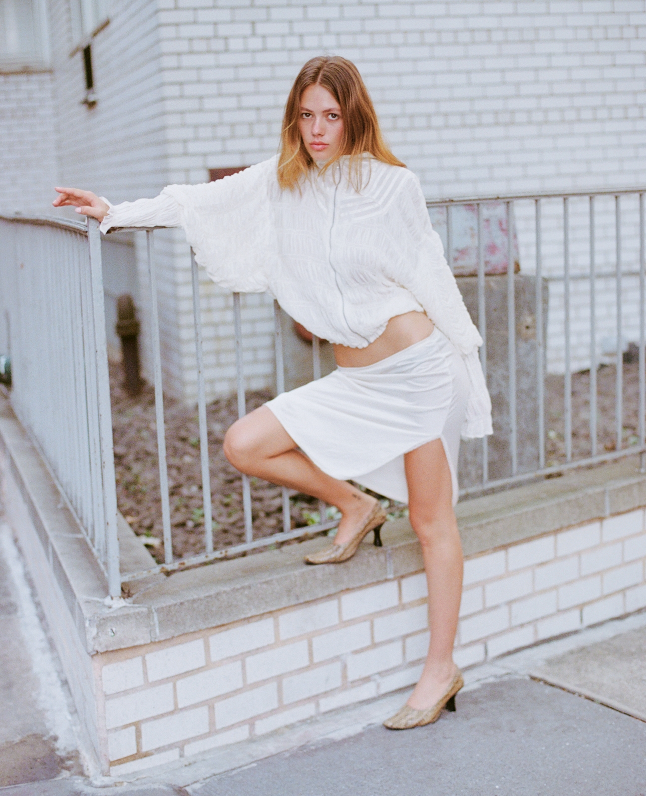 Model Image