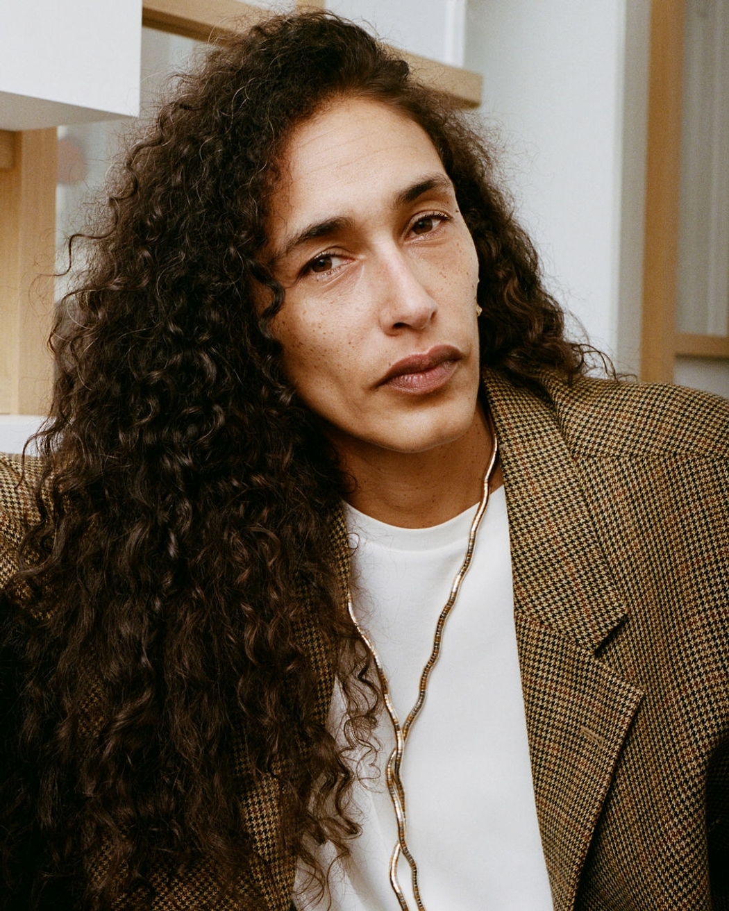 Model Image