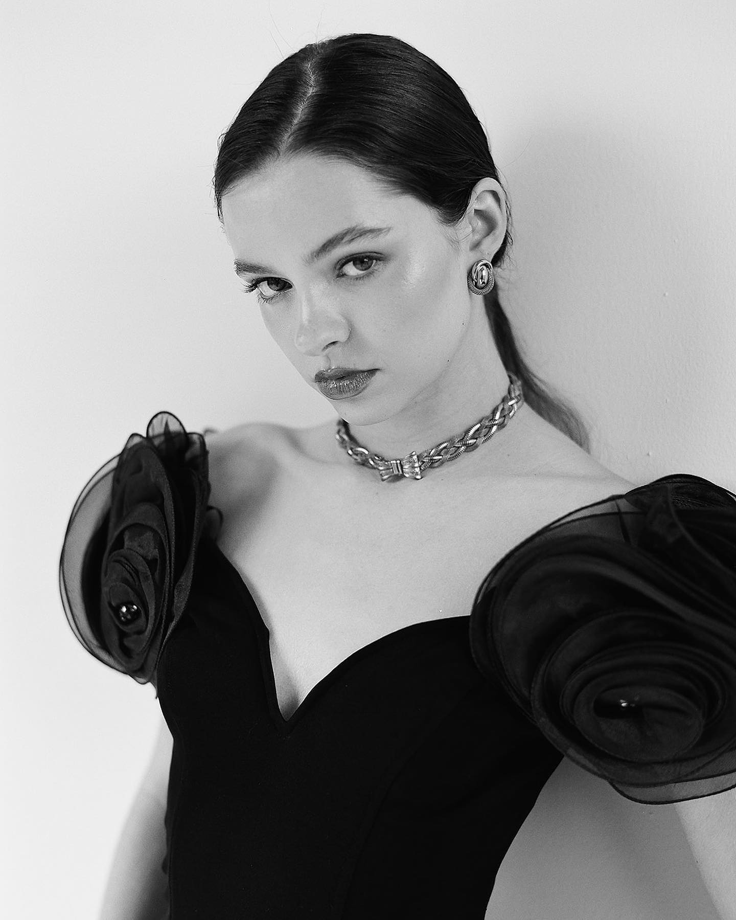 Model Image