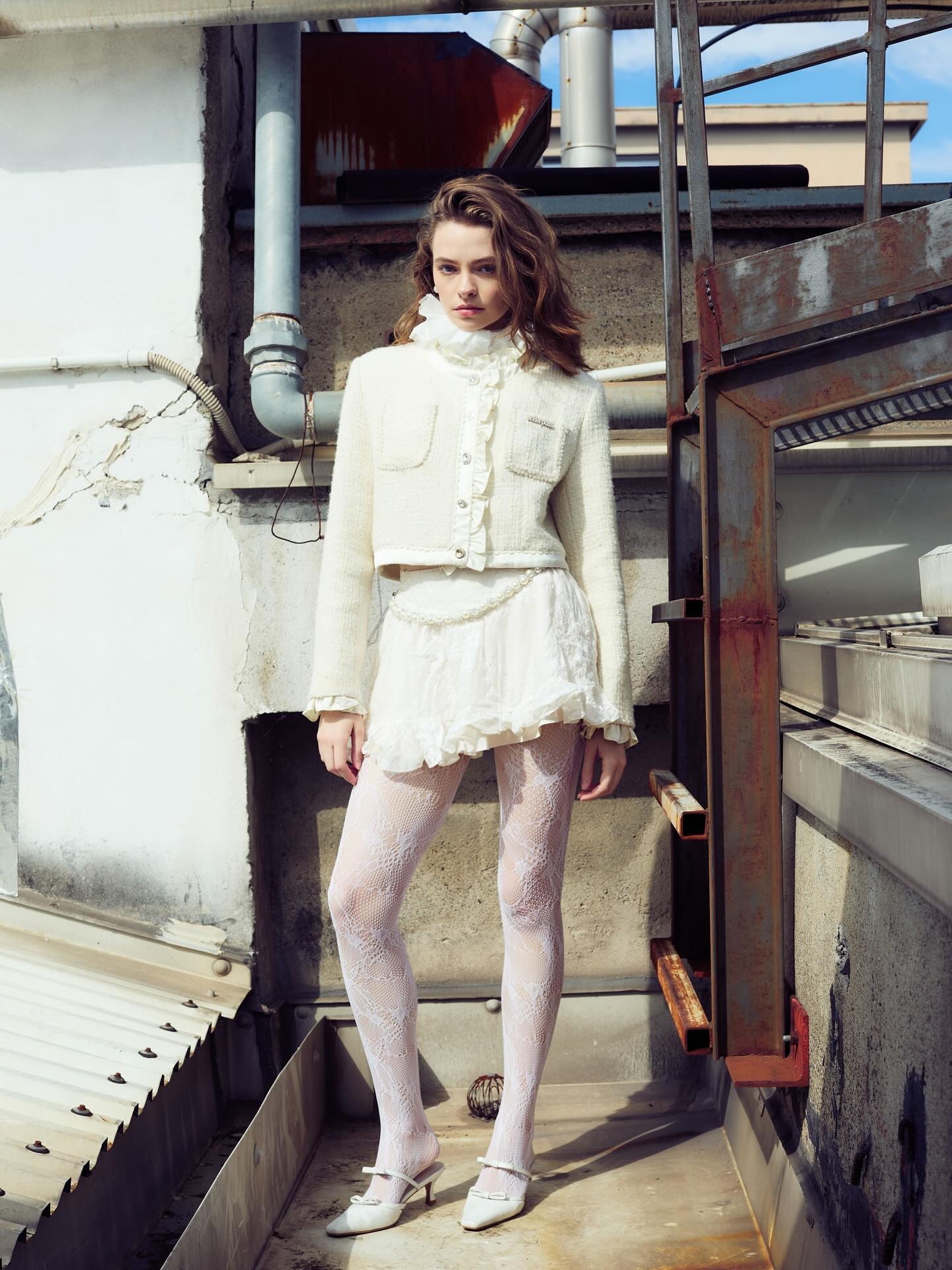 Model Image