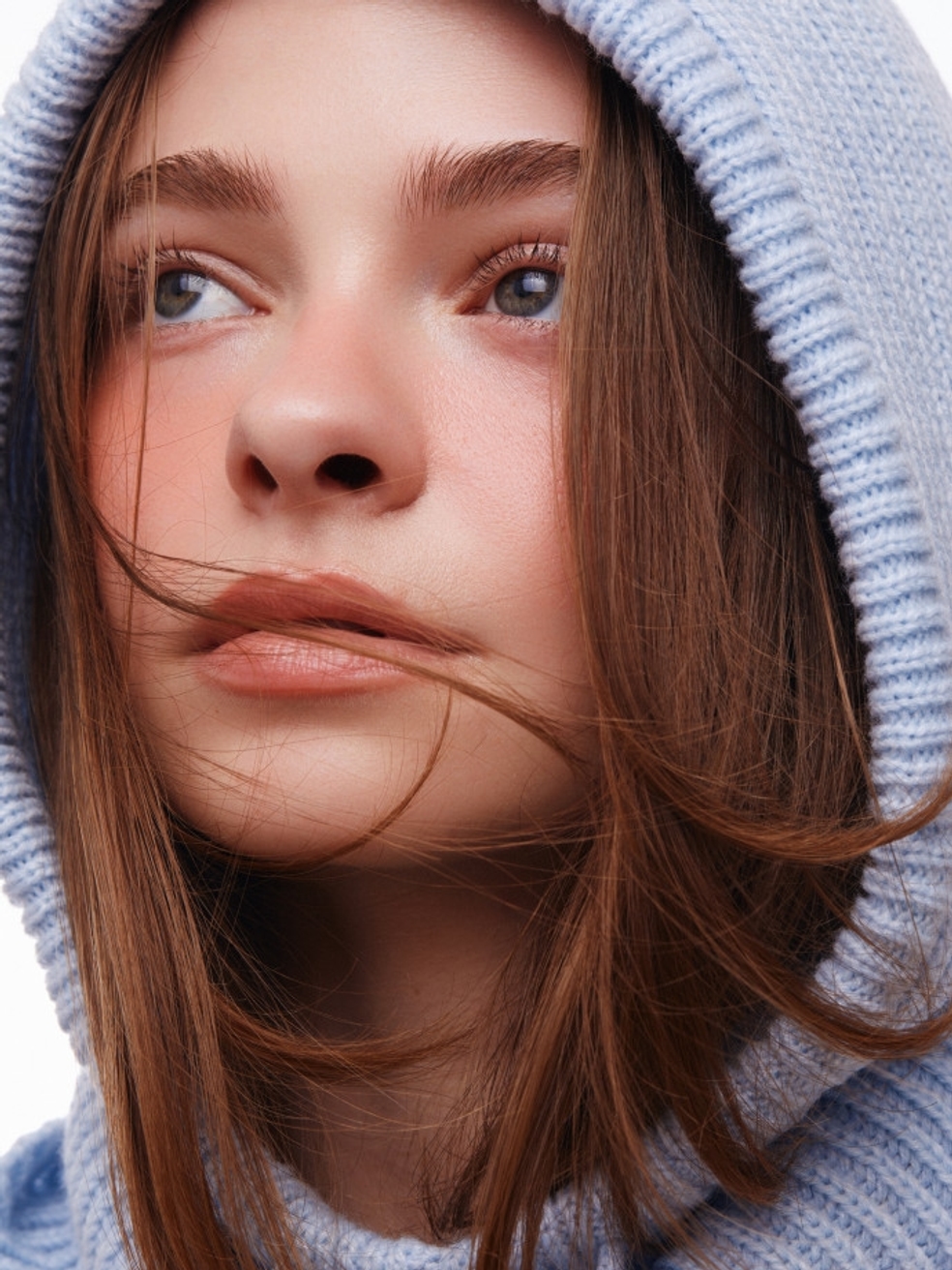 Model Image