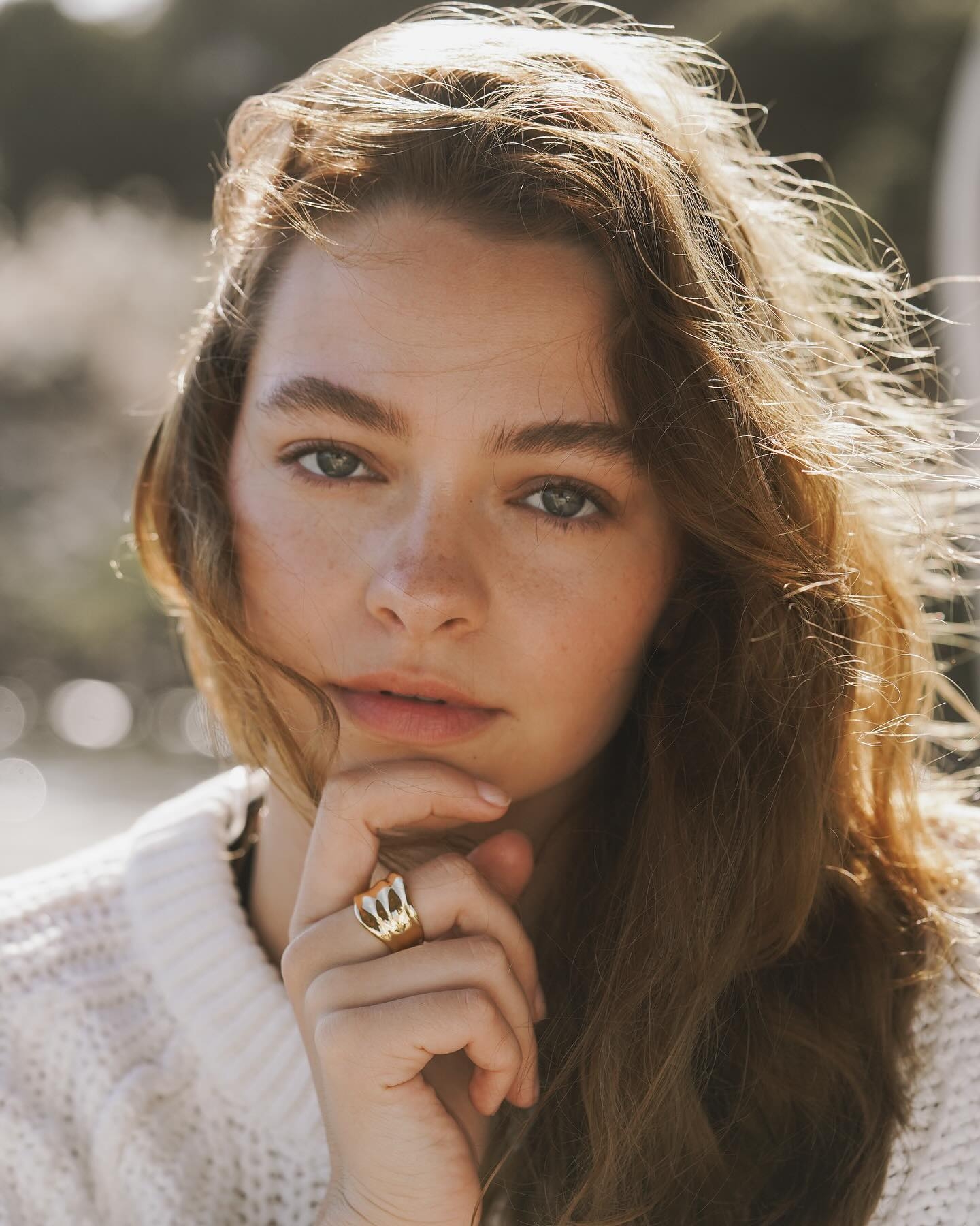 Model Image