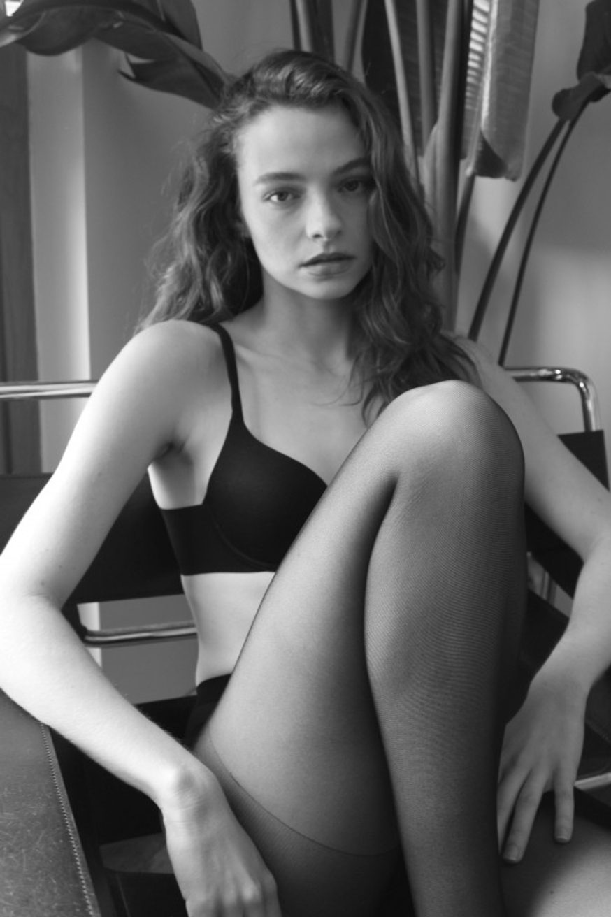 Model Image
