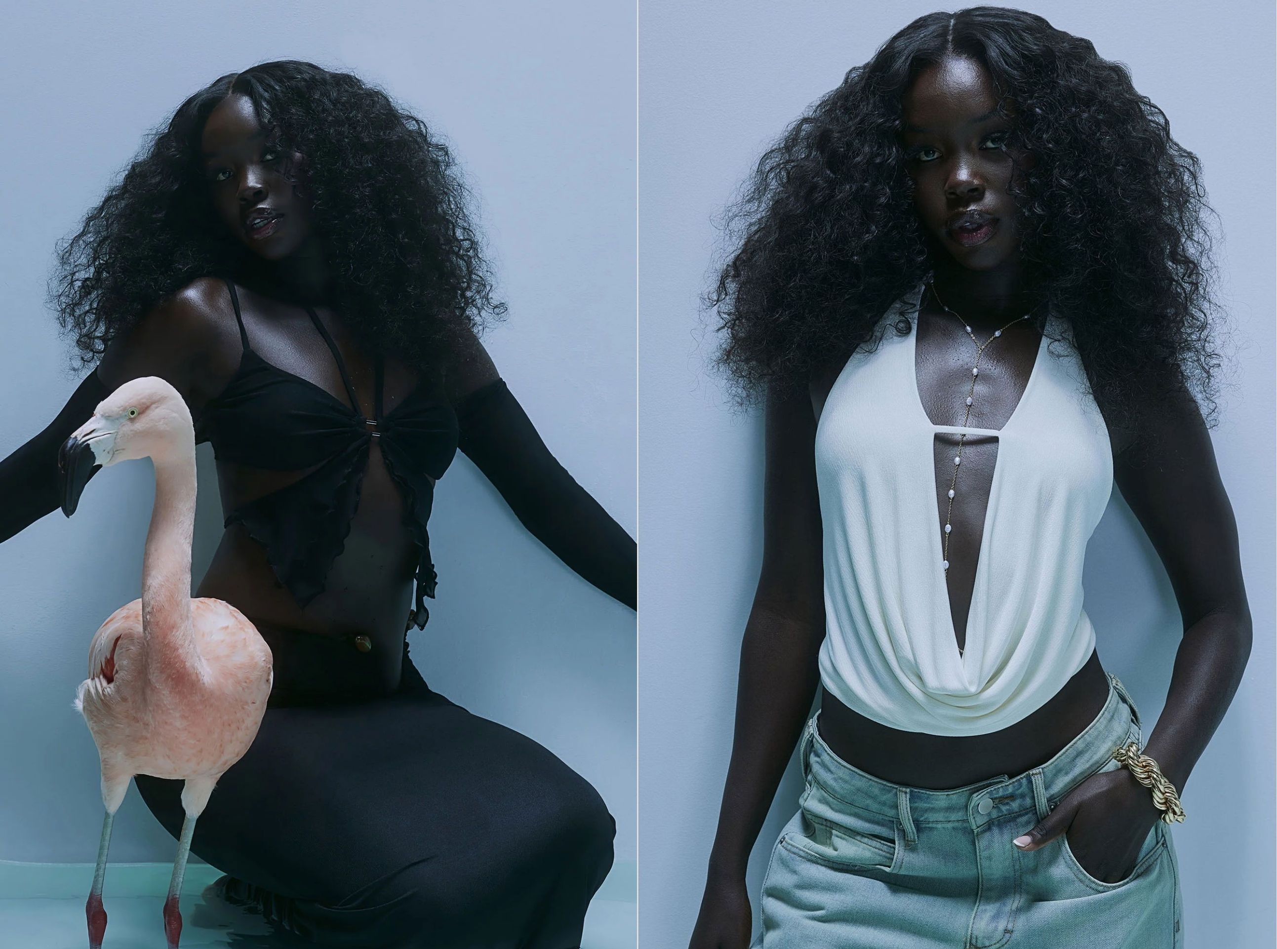 Model Image