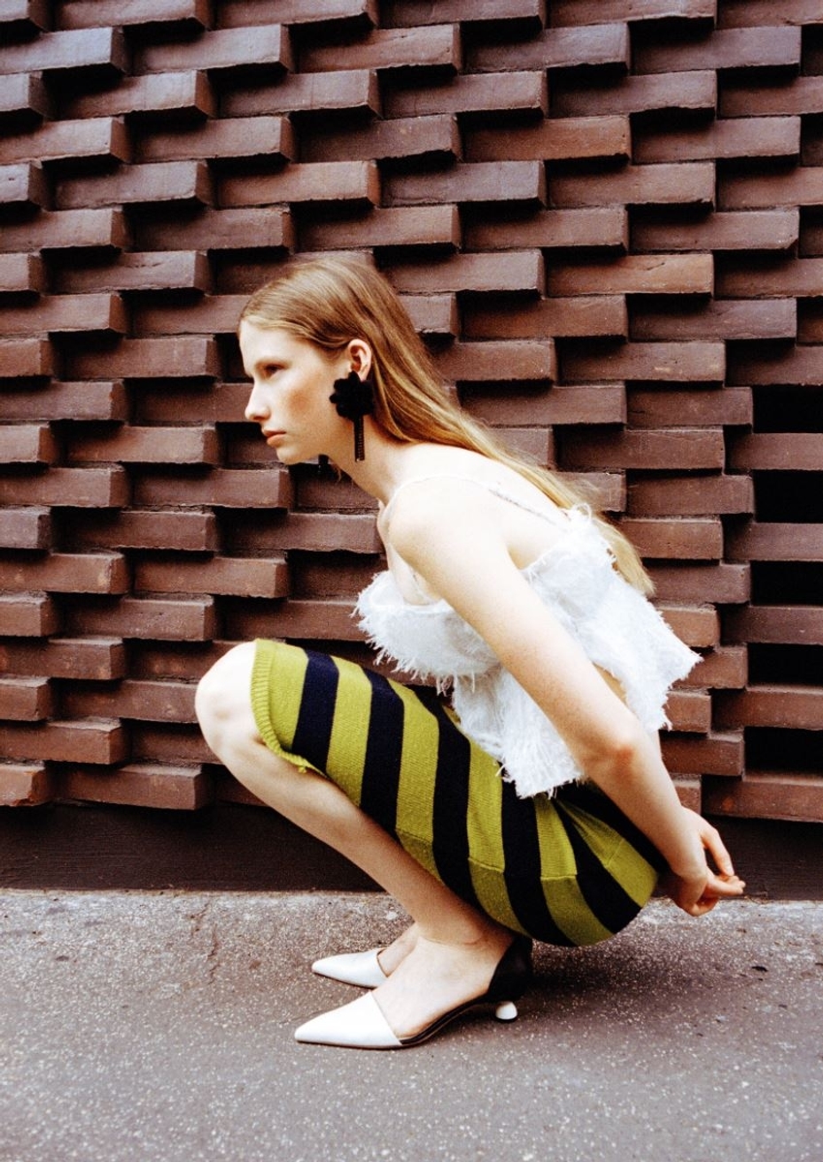 Model Image