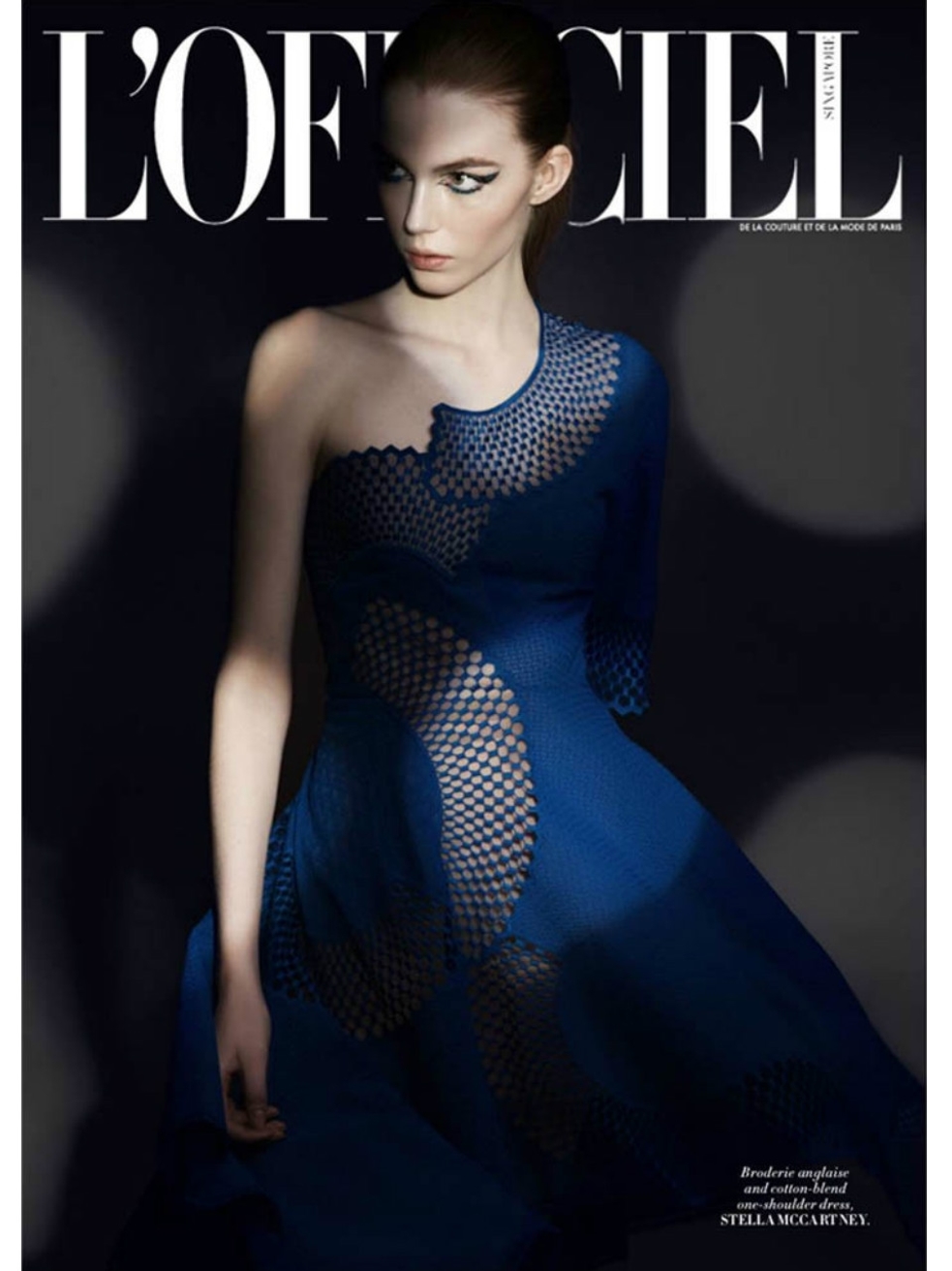 Model Image