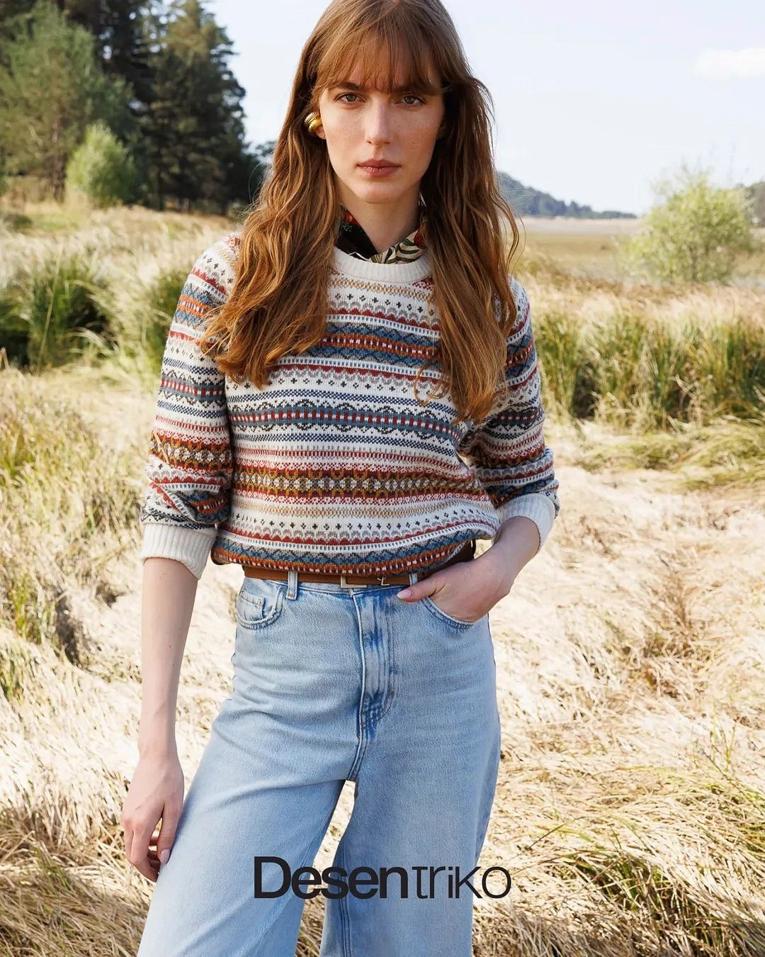 Model Image