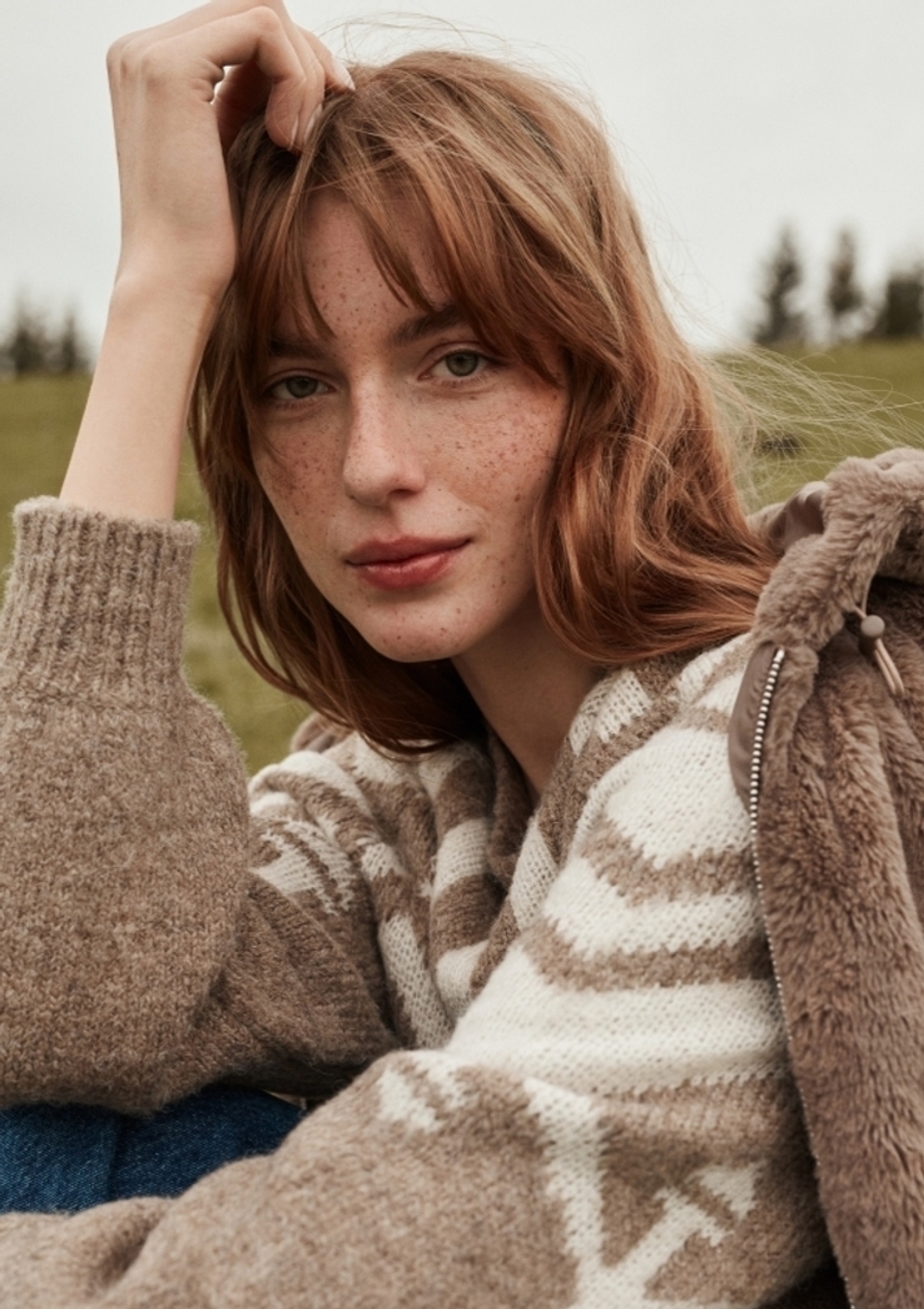Model Image